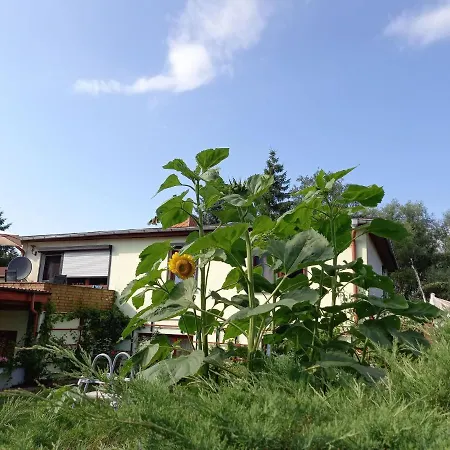 In Mit Garten Apartment Alt Bukow