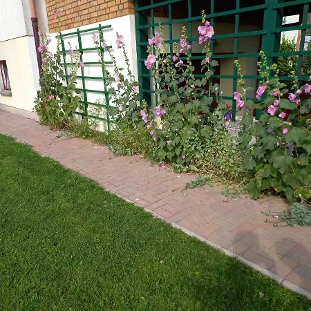 Apartment In With Garden