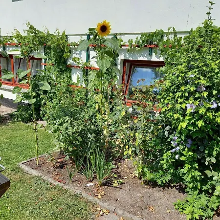 In Mit Garten Alt Bukow
