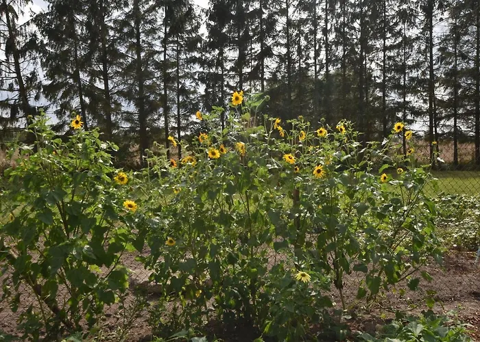 شقة In Mit Garten *